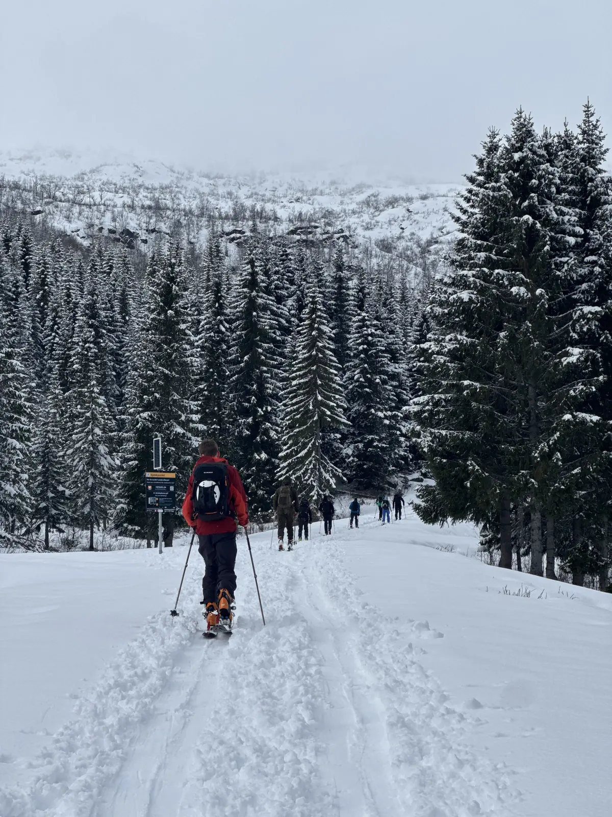 Deltakere går på ski gjennom snødekt skog